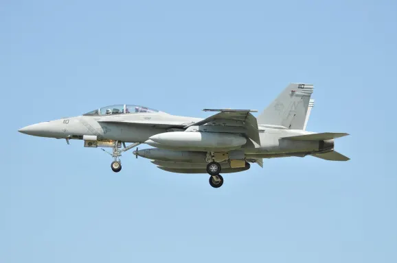 Casino Crypto Wild Suporte